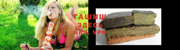 ешки Алексин