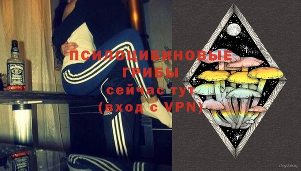 ешки Алексин